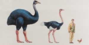 Year 2 goes to Madagascar