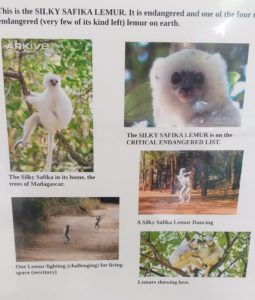 Year 2 goes to Madagascar